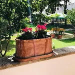 Dimora Il Tiglio- Mini *