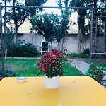 아파트 Dimora Il Tiglio- Mini
