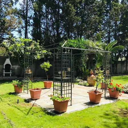 Dimora Il Tiglio- Mini Apartment