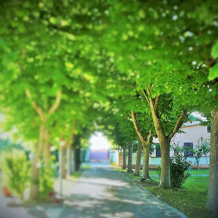 Dimora Il Tiglio- Mini Apartment