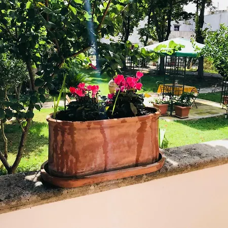 Dimora Il Tiglio- Mini *