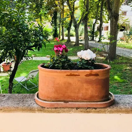 Dimora Il Tiglio- Mini Lecce