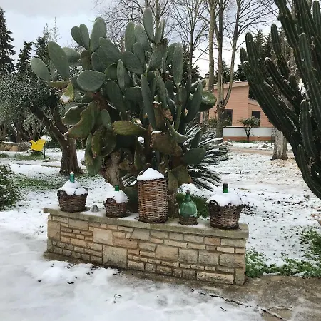 Dimora Il Tiglio- Mini Apartment