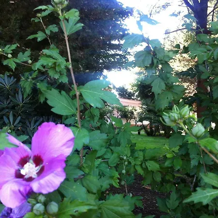 Dimora Il Tiglio- Mini * Lecce