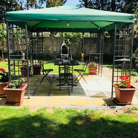 Dimora Il Tiglio- Mini Apartamento Lecce