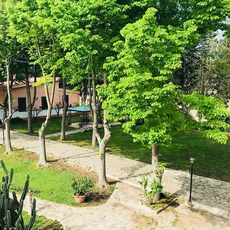 Dimora Il Tiglio- Mini Apartamento *