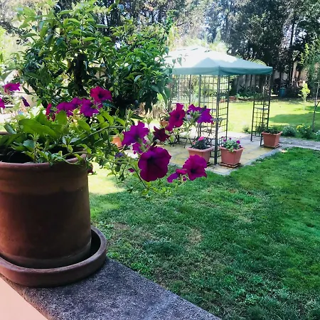 Appartement Dimora Il Tiglio- Mini