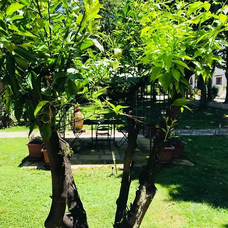Apartamento Dimora Il Tiglio- Mini *