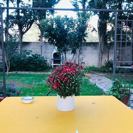 Apartment Dimora Il Tiglio- Mini