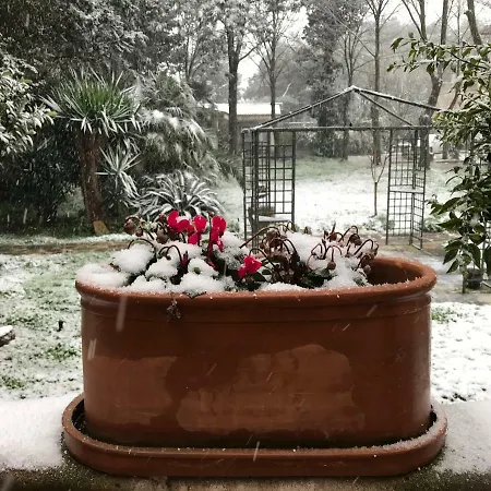 Appartement Dimora Il Tiglio- Mini *